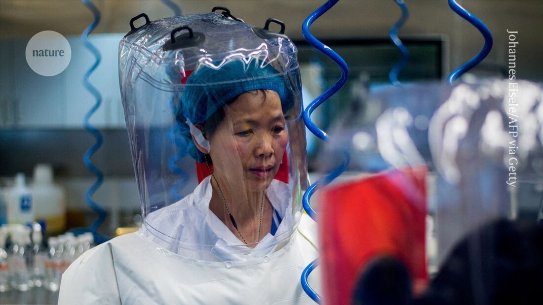 Neue Forschungsergebnisse von Shi Zhengli zeigen, dass Wuhan-Labormuster keine nahen Verwandten von SARS-CoV-2 enthalten.