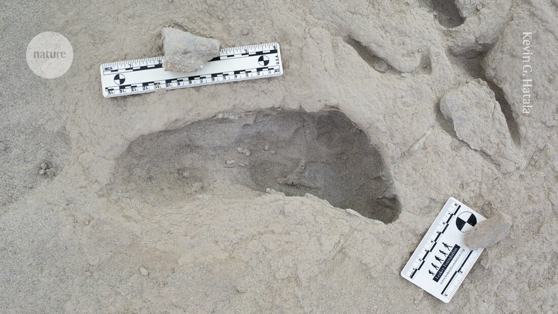 Vor 1,5 Millionen Jahren hinterließen Homo erectus und Paranthropus boisei ihre Spuren am Ufer eines Sees in Kenia.