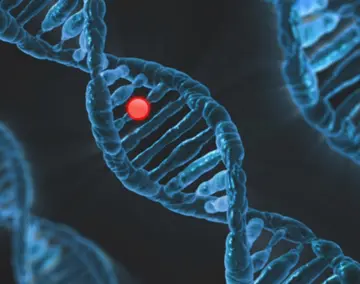 Orthomolekulare Medizin: Die Geheimnisse für Ihre Gesundheit enthüllt!