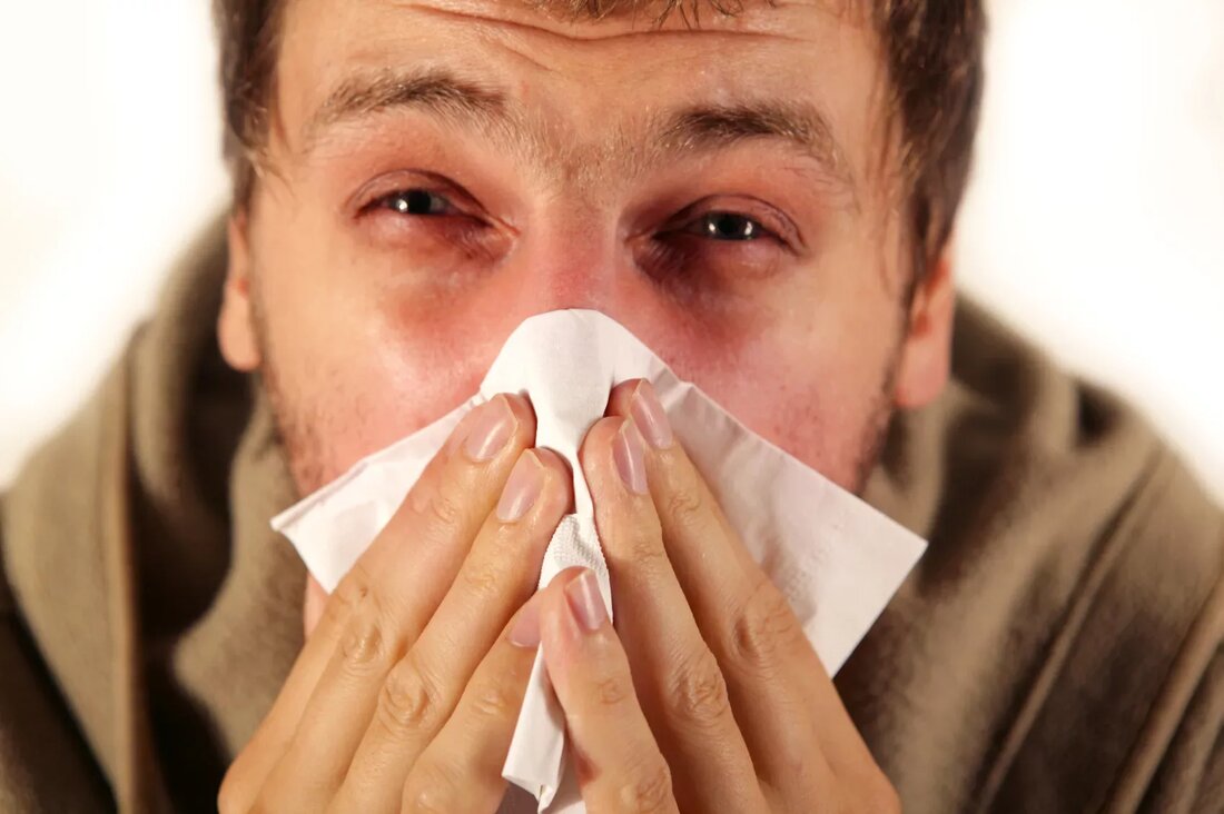 Gehören Sie jedes Jahr zu den vielen saisonalen Allergikern? Sind Sie müde von den negativen Nebenwirkungen, die viele rezeptfreie Antihistaminika haben? Glücklicherweise gibt es natürliche Alternativen, die Linderung bringen können, ohne Schläfrigkeit, Schwindel oder Kopfschmerzen hervorzurufen – Symptome, die normalerweise von den meisten herkömmlichen Ansätzen begleitet werden. Die meisten natürlichen Antihistaminika helfen, Symptome im Zusammenhang mit einem überaktiven Immunsystem zu verhindern. Sie können auch bei Allergiesymptomen wie juckenden Augen, Verstopfung der Nasennebenhöhlen und Atembeschwerden helfen. Oder sie reagieren einfach auf eine Histaminreaktion, die sich aus der Exposition gegenüber einem bestimmten Allergen ergibt. 5 natürliche Antihistaminika Es gibt viele natürliche Kräuter, die Histamin hemmen. Hier sind die Top …