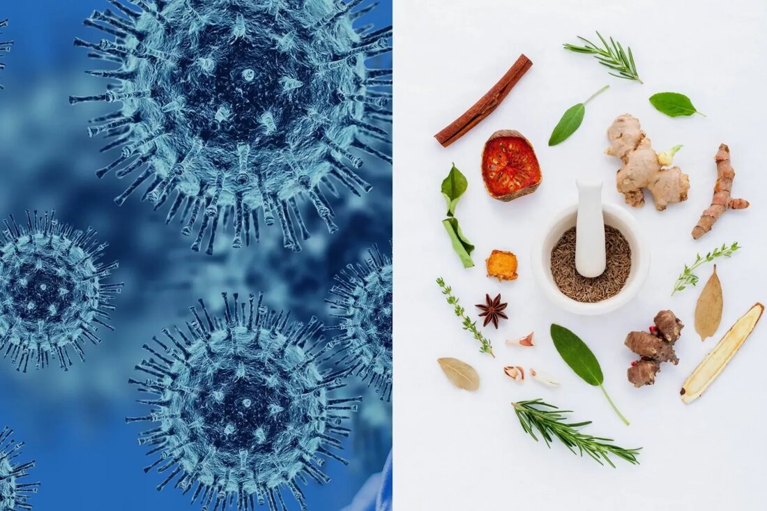 Naturheilkunde Corona – Ganzheitlich betrachtet Catherine Clinton, ND Während der Roman SARS-CoV-2 weltweit seinen Weg findet, wird die naturheilkundliche Medizin immer wichtiger. Dieses Coronavirus ist neu, daher wissen wir noch viel nicht darüber. Wir haben keine Untersuchungen die belegen, dass eine der unten genannten Nährwert- und Kräuterinformationen COVID-19 verhindert oder behandelt. Wir haben jedoch viele Informationen zu ernährungsphysiologischen und pflanzlichen Interventionen bei bereits vorhandenen Viren, einschließlich anderer Coronaviren. Als naturheilkundliche Ärzte haben wir eine lange und reiche Tradition in der Anerkennung der „Terrain“-Theorie. Daher können wir angesichts dieser aktuellen Pandemie viel tun, um die allgemeine Gesundheit und Vitalität unserer Patienten zu beeinflussen. Bei …
