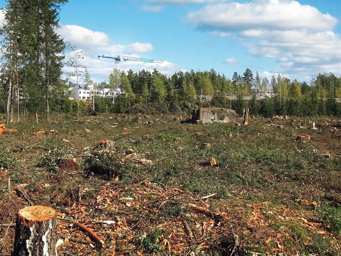 Grundwasser ist eine entscheidende natürliche Ressource, die Mensch, Tiere und Pflanzen als Trinkwasserversorgung dient, sowie eine Vielzahl industrieller und landwirtschaftlicher Prozesse unterstützt. Die Wichtigkeit der Grundwasserressourcen wird in ihrer ausgiebigen Nutzung und dem damit verbundenen Management und Schutz reflektiert. Eine Schlüsselkomponente dieses Schutzes ist das Verständnis der vielfältigen Aspekte, durch die sich die Qualität und Quantität des Grundwassers verändern kann. Besonders die Landnutzung hat einen erheblichen Einfluss – eine Tatsache, die oft übersehen wird. Dieser Artikel geht auf diese Beziehung und ihre Folgen ein. Was ist Landnutzung? Landnutzung bezieht sich auf die verschiedenen Arten, wie Menschen die natürliche Umwelt für …