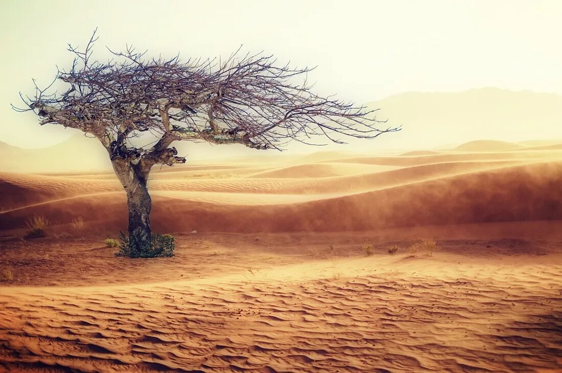 In den letzten Jahrzehnten hat das Bewusstsein für die Bedrohungen des Klimawandels stetig zugenommen. Gleichzeitig gerät immer mehr ins Bewusstsein, dass die Auswirkungen des Klimawandels nicht gleichmäßig verteilt sind. Die Auswirkungen treffen in erster Linie diejenigen, die am wenigsten dazu beigetragen haben und am wenigsten in der Lage sind, ihre Auswirkungen abzuschwächen. Dies erzeugt eine tiefe soziale Ungerechtigkeit. Es ist daher von entscheidender Bedeutung, den Klimawandel und soziale Ungerechtigkeit gemeinsam zu betrachten, um gerechte Lösungen zu finden. Klimawandel verstehen Was ist Klimawandel? Der Klimawandel bezieht sich auf langfristige Änderungen in Temperatur, Niederschlag, Windmustern und anderen Aspekten des globalen Klimas. Er …