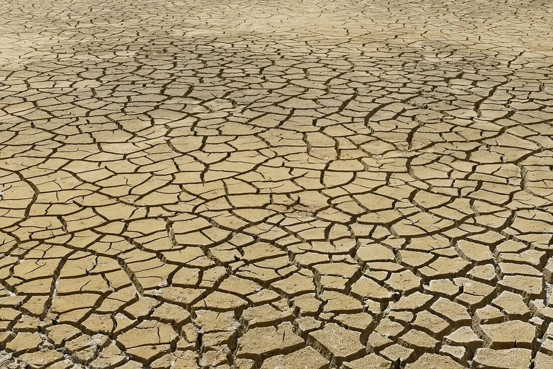 Der Klimawandel ist eine der größten Herausforderungen, mit denen die Menschheit im 21. Jahrhundert konfrontiert ist. Mit steigenden Temperaturen, schmelzenden Eiskappen und extremen Wetterbedingungen sind die Auswirkungen des Klimawandels das Ergebnis eines komplexen und tiefgreifenden Wandels der globalen Umwelt, der erhebliche Auswirkungen auf unser Leben hat. Innovationen sind in dieser Krise entscheidend, um effektive Lösungen zur Reduzierung der Emissionen zu entwickeln und die Auswirkungen des Klimawandels zu mildern. In diesem Artikel werden die Beziehung zwischen Klimawandel und Innovation sowie die Gründe für die Bedeutung von Innovation zur Bekämpfung des Klimawandels untersucht. Klimawandel: Eine globale Herausforderung Die Realität des Klimawandels Der …