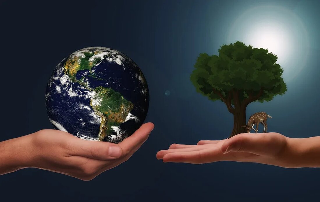 Unternehmen aller Art haben in den letzten Jahren bemerkt, dass sie eine große Rolle bei den globalen Anstrengungen zur Bewältigung des Klimawandels spielen. Eine Möglichkeit, als Unternehmen nachhaltiger zu werden, besteht darin, die Arbeitsumgebung selbst ökologisch nachhaltiger zu gestalten. In diesem Artikel beschäftigen wir uns mit der Frage, was genau Nachhaltigkeit im Büro bedeutet und wie Sie diese erreichen können. Was bedeutet Nachhaltigkeit im Büro? Nachhaltigkeit im Büro bezieht sich auf Praktiken, die dazu dienen, die Umweltauswirkungen eines Bürogebäudes oder der Büroarbeit selbst zu reduzieren. Dies kann den Energieverbrauch, die Abfallproduktion, den Verbrauch von Materialien und Ressourcen, die Auswahl der …