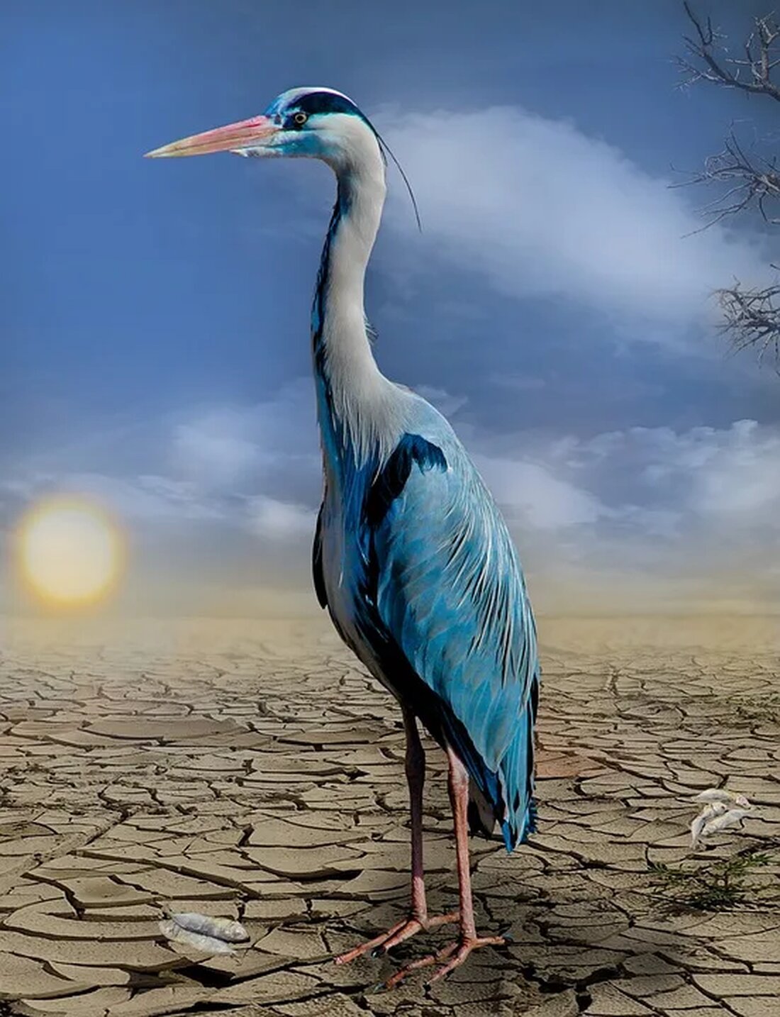 Der Klimawandel ist eine weltweite Herausforderung, deren Auswirkungen in allen Regionen spürbar sind. Während viele umweltbezogene Probleme oft abstrakt oder weit entfernt erscheinen, stellen die Auswirkungen des Klimawandels auf indigene Völker eine direkte, unmittelbare und allgegenwärtige Bedrohung dar. Indigene Völker sind in besonderem Maße vom Klimawandel betroffen, da sie oftmals in Regionen leben, die besonders anfällig für Umweltveränderungen sind, und weil sie stark von natürlichen Ressourcen abhängen, die durch den Klimawandel gefährdet sind. Klimawandel und seine allgemeinen Auswirkungen Was ist der Klimawandel? Klimawandel bezieht sich auf langfristige Veränderungen in Temperatur, Niederschlag, Wind und anderen Aspekten des Erdklimasystems. Er tritt sowohl …