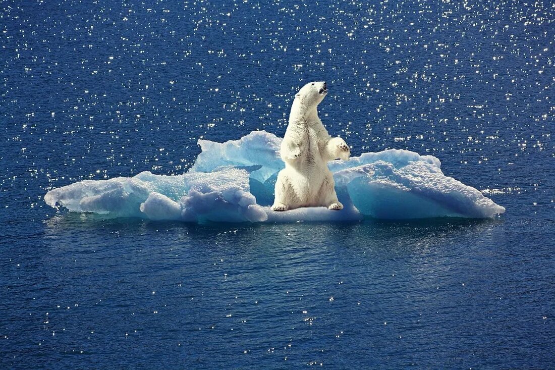 Klimawandel und Artensterben sind zwei der exponentiellen ökologischen Herausforderungen, die unsere Welt in ihrer modernen Geschichte konfrontiert. Beide Phänomene werden maßgeblich durch menschliche Aktivitäten beeinflusst und verstärkt. Darüber hinaus sind sie eng miteinander verwoben und beeinflussen sich gegenseitig auf kostspielige und bedauerliche Weise. In diesem Artikel wollen wir die Zusammenhänge dieser beiden ökologischen Krisen beleuchten und erörtern, welche Folgen sie für unser Ökosystem haben. Der Klimawandel: Prozesse und Auswirkungen Hintergrund des Klimawandels Der Klimawandel bezieht sich auf signifikante, langfristige Veränderungen der wetterbedingten Muster und Temperaturen auf unserer Welt. Während Klimaänderungen ein natürlicher Bestandteil der Erdgeschichte sind, weisen wissenschaftliche Daten darauf …