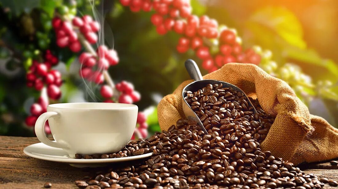 Willkommen zurück. Ein gesundes Leben zu führen hat Wurzeln in der Küche. Diese Woche konzentrieren wir uns auf einen Favoriten am Morgen – Kaffee. Viele Menschen denken nicht, dass ihr Tag begonnen hat, bis sie ihre erste Tasse genossen haben, aber Kaffee hat zahlreiche gesundheitliche Vorteile. Lass es uns gemeinsam herausfinden! Kaffee Für viele würde sich der Tag ohne eine Tasse Joe am Morgen unvollständig anfühlen. So einfach sie auch scheinen mögen, Kaffeebohnen sind außerordentlich komplexe Früchte, die in jeder winzigen Packung über 1.000 verschiedene Verbindungen enthalten. (Link entfernt) Weltweit werden täglich über zwei Milliarden Tassen Kaffee konsumiert. (Link entfernt) französische Schriftsteller und Philosoph Voltaire soll eine Gewohnheit …