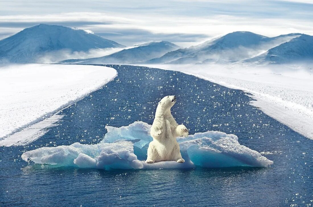 Klimaschutz und die Rolle der Medien Die gemeinsamen Bemühungen um den Klimaschutz nehmen in unserer Gesellschaft einen immer höheren Stellenwert ein. Es geht um das Bewusstsein für die Auswirkungen unserer Entscheidungen und Aktivitäten auf unser Klima und Umwelt. Die Medien spielen dabei eine wesentliche Rolle. Doch wie genau gestaltet sich die Rolle der Medien im Kontext des Klimaschutzes? Wie beeinflussen sie unsere Wahrnehmungen und Handlungen in Bezug auf den Klimawandel? Dieser Artikel hat das Ziel, einen klaren und kritischen Ansatz zu liefern. Die mediale Darstellung des Klimawandels Der Einfluss der Medien auf das Klimabewusstsein Die Medien sind ein Schlüsselinstrument zur …