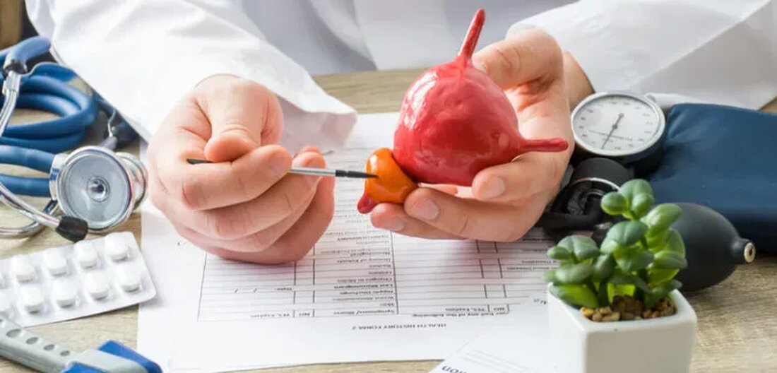 Viele ältere Männer denken, dass Prostataprobleme mit zunehmendem Alter mit dem Territorium einhergehen. Es hat sich mit einem dieser Dinge befasst, die „einfach passieren“ und so häufig Prostata-Bedenken bei alternden Männern sind, es ist kein Wunder, dass viele es einfach als ihr Schicksal akzeptiert haben. Dies muss nicht unbedingt der Fall sein. Es gibt einige Kräuter, darunter Sägepalme und Brennnessel, von denen bekannt ist, dass sie die Gesundheit der Prostata unterstützen. Untersuchungen haben außerdem gezeigt, dass Mariendistel starke Flavonoide besitzt, die die Gesundheit der Prostata und den Hormonhaushalt bei Männern fördern. Noch besser ist, dass neuere Forschungen ergeben haben, dass die Wirkung von Mariendistel über die Unterstützung der Prostata hinausgeht und …
