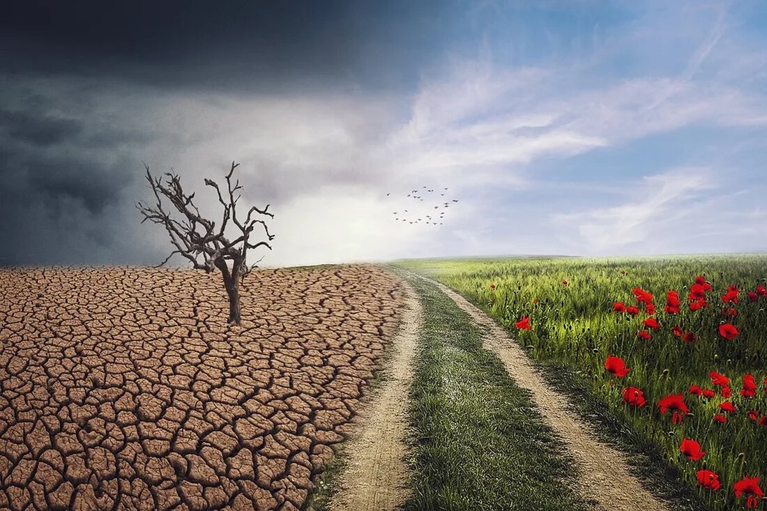 Klimawandel ist ein Thema von weltweiter Bedeutung und Dringlichkeit. Es ist ein komplexes Phänomen mit weitreichenden Auswirkungen auf viele unterschiedliche Bereiche, einschließlich unserer verfügbaren Wasserversorgung. Dieser Artikel befasst sich mit den Auswirkungen des Klimawandels auf die Wasserversorgung, einer besonders kritischen Facette des Klimawandeldiskurses. Was ist der Klimawandel? Definition des Klimawandels Klimawandel bezieht sich auf langfristige Veränderungen in Temperatur- und Witterungsmustern weltweit. Es handelt sich um eine beunruhigende globale Entwicklung, die vor allem auf den erhöhten Ausstoß von Treibhausgasen durch menschliche Aktivitäten zurückzuführen ist. Ursachen des Klimawandels Die Hauptursache des Klimawandels ist die verstärkte Emission von Treibhausgasen, insbesondere Kohlendioxid (CO2) und …