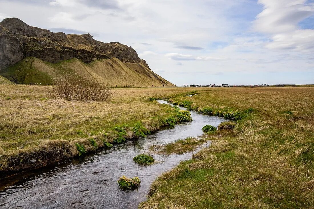 Einführung in die Tundra und den Permafrost Die Tundra und der Permafrost stellen signifikante Aspekte des weltweiten Ökosystems dar, die an die rauesten Umweltbedingungen auf dem Planeten angepasst sind. Beide spielen eine kritische Rolle beim globalen Klimawandel und haben unter dem menschlichen Einfluss einen Grad der Veränderung erfahren, der nicht nur die Ökosysteme, sondern auch die menschliche Gesellschaft beeinträchtigt. Was ist die Tundra? Die Tundra, ein aus dem finnischen stammendes Wort, das "baumlose Ebene" bedeutet, beschreibt eine scheinbar endlose und karge Landschaft ohne Bäume und mit wenig Vegetation. Sie ist in den Polarregionen der Welt zu finden und wird im …
