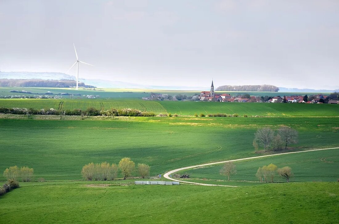 in die Nachhaltigkeit Nachhaltigkeit ist ein Begriff, der in der modernen Welt oft als ein Konzept beschrieben wird, das versucht, die natürliche Umwelt, die menschliche und wirtschaftliche Gesundheit sowie soziale Gerechtigkeit auszubalancieren. Es geht darum, unsere natürlichen Ressourcen effektiv zu nutzen und zu bewahren, um die Qualität unseres Lebens und das unserer zukünftigen Generationen zu verbessern. Abseits der wissenschaftlichen oder ökonomischen Definition, ist Nachhaltigkeit auch stark mit unserem täglichen Leben verknüpft; wie wir essen, reisen, konsumieren und sogar, wie wir mit unseren Mitmenschen interagieren. Und ebenso wird diesbezüglich viel von uns erwartet: Mülltrennung, bewusster Konsum, Reduzierung des eigenen CO2-Fußabdrucks – …