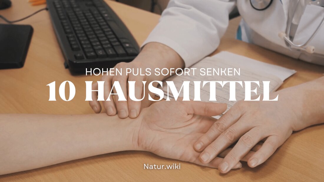 Die Herzfrequenz bezieht sich auf die Anzahl der Herzschläge, die eine Person pro Minute hat, auch bekannt als Puls. Eine niedrigere Ruheherzfrequenz kann ein Zeichen für gute Gesundheit sein. Dieser Artikel erklärt, wie man die Ruheherzfrequenz einer Person misst. Es wird auch der ideale Bereich für die Herzfrequenz einer Person besprochen, erklärt, was Unterschiede in der Herzfrequenz verursacht, und Tipps gegeben, um die Herzfrequenz sofort und langfristig zu senken. So senken Sie die Herzfrequenz Die Herzfrequenz einer Person kann als Reaktion auf Faktoren wie emotionalen Stress oder Dinge in ihrer Umgebung plötzlich ansteigen. Die Behandlung dieser Ursachen ist der beste …
