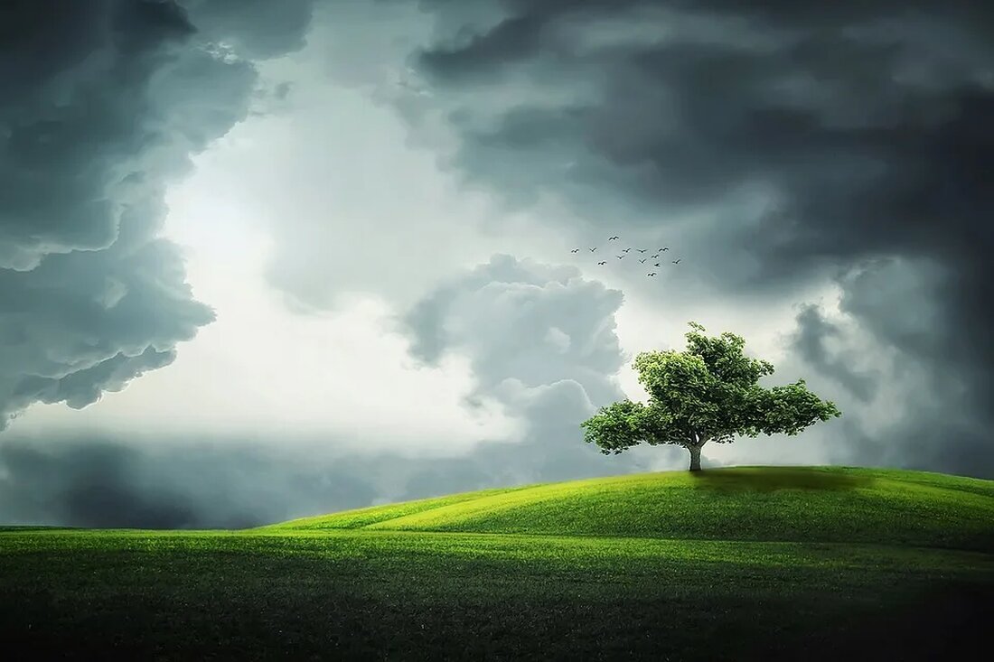 Grüne Energie ist ein Thema, das in den letzten Jahren immer mehr an Bedeutung gewinnt. Mit dem Klimawandel und den damit verbundenen Herausforderungen rücken regenerative Energiequellen immer mehr in den Vordergrund. Solar- und Windkraft gehören zu den etabliertesten Alternativen zu fossilen Energieträgern und bieten eine grüne Lösung zur Erzeugung elektrischer Energie. Doch welche der beiden Energiequellen hat die Nase vorn in Bezug auf Effizienz, Kosten und Umweltfreundlichkeit? Solar- und Windkraft: Eine Übersicht Solarenergie Solarenergie bezieht sich auf die Nutzung der Sonnenstrahlung zur Erzeugung von Wärme oder Strom. Diese Energiequelle ist unerschöpflich und kann lokal genutzt werden, was sie zu einer …