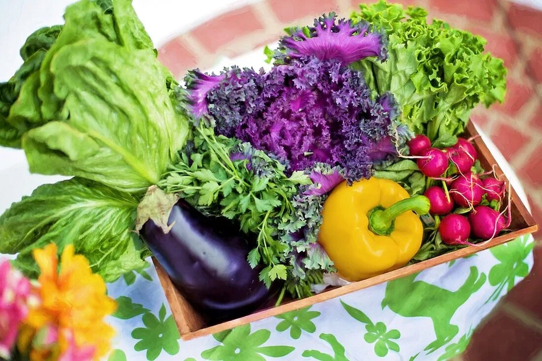 Ernährung in der Schwangerschaft Die Ernährung spielt eine entscheidende Rolle während der Schwangerschaft. Während dieser Zeit ist es besonders wichtig, sich ausgewogen und gesund zu ernähren, um die optimale Entwicklung des Babys zu gewährleisten. In diesem Artikel werden wir einige wichtige Aspekte der richtigen Ernährung in der Schwangerschaft besprechen. Wichtige Nährstoffe während der Schwangerschaft Während der Schwangerschaft haben viele Nährstoffe eine besondere Bedeutung für die Entwicklung des Babys. Hier sind einige der wichtigsten Nährstoffe, die eine schwangere Frau in ausreichender Menge zu sich nehmen sollte: 1. Folsäure Folsäure ist ein B-Vitamin, das besonders wichtig für die Entwicklung des Neuralrohrs des …