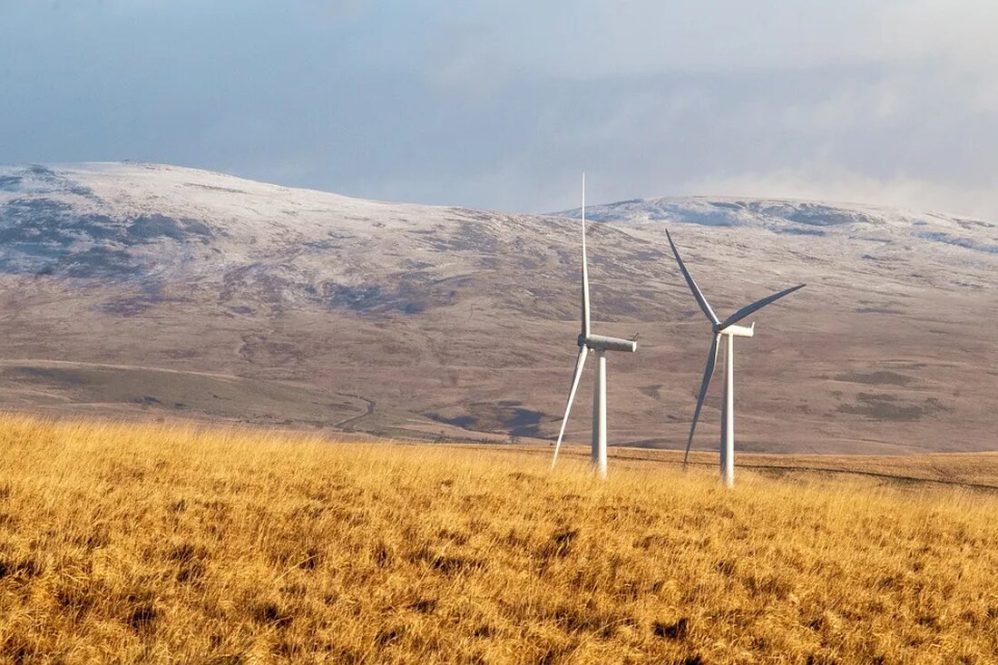in Windparks Windparks, die auch unter dem Begriff Windfarmen bekannt sind, sind Sammlungen großer Windturbinen, die genutzt werden, um Elektrizität zu erzeugen. Sie wurden als grüne und erneuerbare Energiequelle erfunden und sollten helfen, vom Verbrauch fossiler Brennstoffe wegzukommen. In den letzten Jahrzehnten hat die Anzahl der Windparks weltweit zugenommen. Während Windenergie viele Vorteile hat, gibt es auch eine kontroverse Diskussion zu ihrem Einfluss auf die Natur, insbesondere auf die Vogelwelt. Windparks und Vögel – Ein Dilemma Die potenzielle Auswirkung von Windparks auf Vögel ist zu einem Hauptanliegen für Naturschützer, Politiker und die breite Öffentlichkeit geworden. Studien haben gezeigt, dass Windparks …