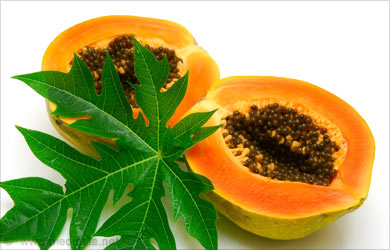 Gesunde Leber: Papaya