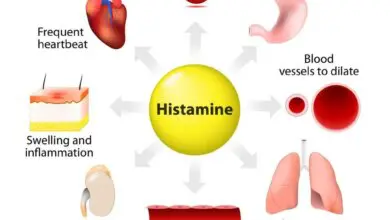 Histaminintoleranz-Das-Ungleichgewicht-hinter-verstopfter-Nase-Angst-und-Kopfschmerzen