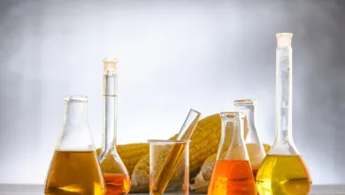 Ethanol in Lebensmitteln: Gesundheitliche Aspekte