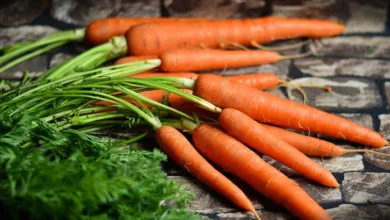 Ernährung und chronische Krankheiten