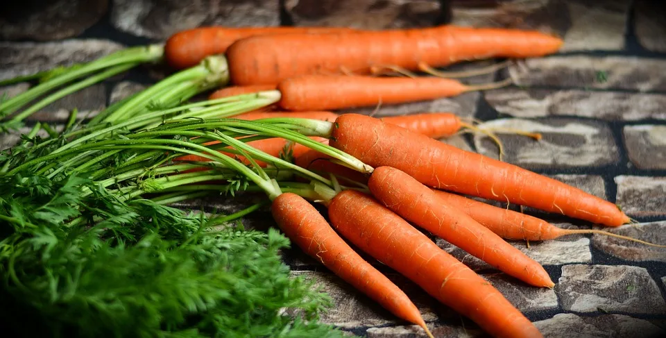 Ernährung und chronische Krankheiten