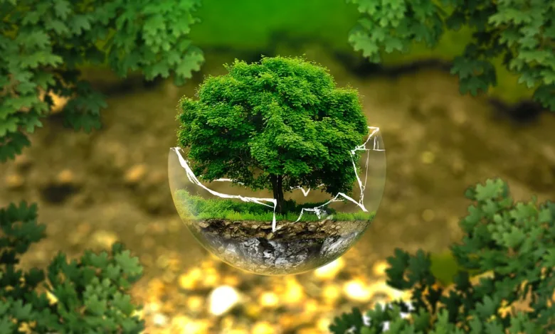 Grüne Finanzen: Investitionen in den Klimaschutz