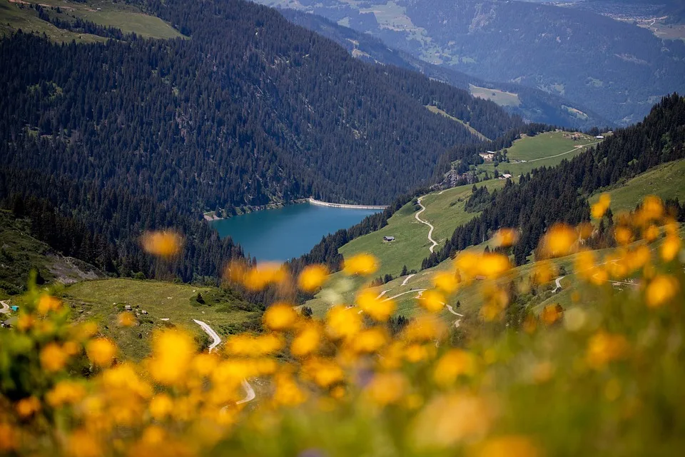 Der Einfluss von Dämmen auf Fischwanderungen