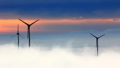 Windenergie: Vorteile und Herausforderungen