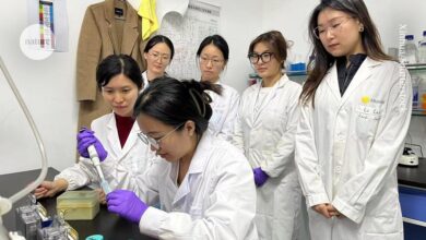 Chinese scientists say funding shake-up has made it harder to win grants