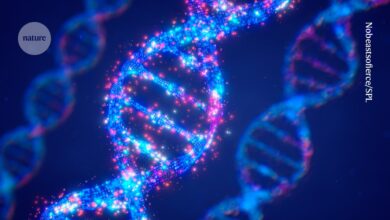 DNA stores data in bits after epigenetic upgrade