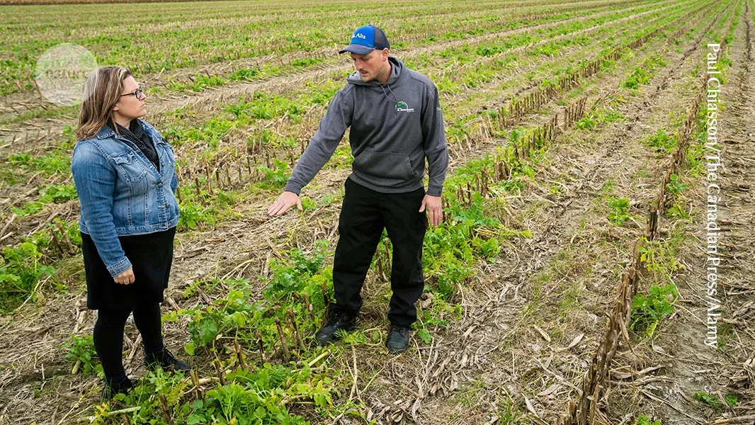 How to climate-proof crops: scientists say the secret’s in the dirt