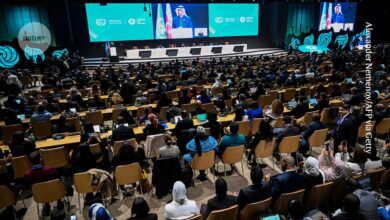 Trump’s shadow looms at climate summit: what COP29 could deliver