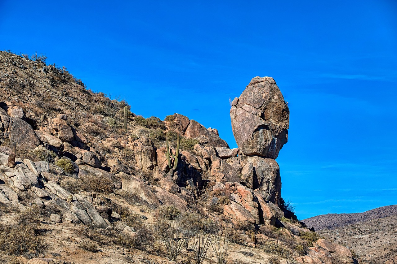 Bild für Die Rolle der Natur in der indianischen Medizin
