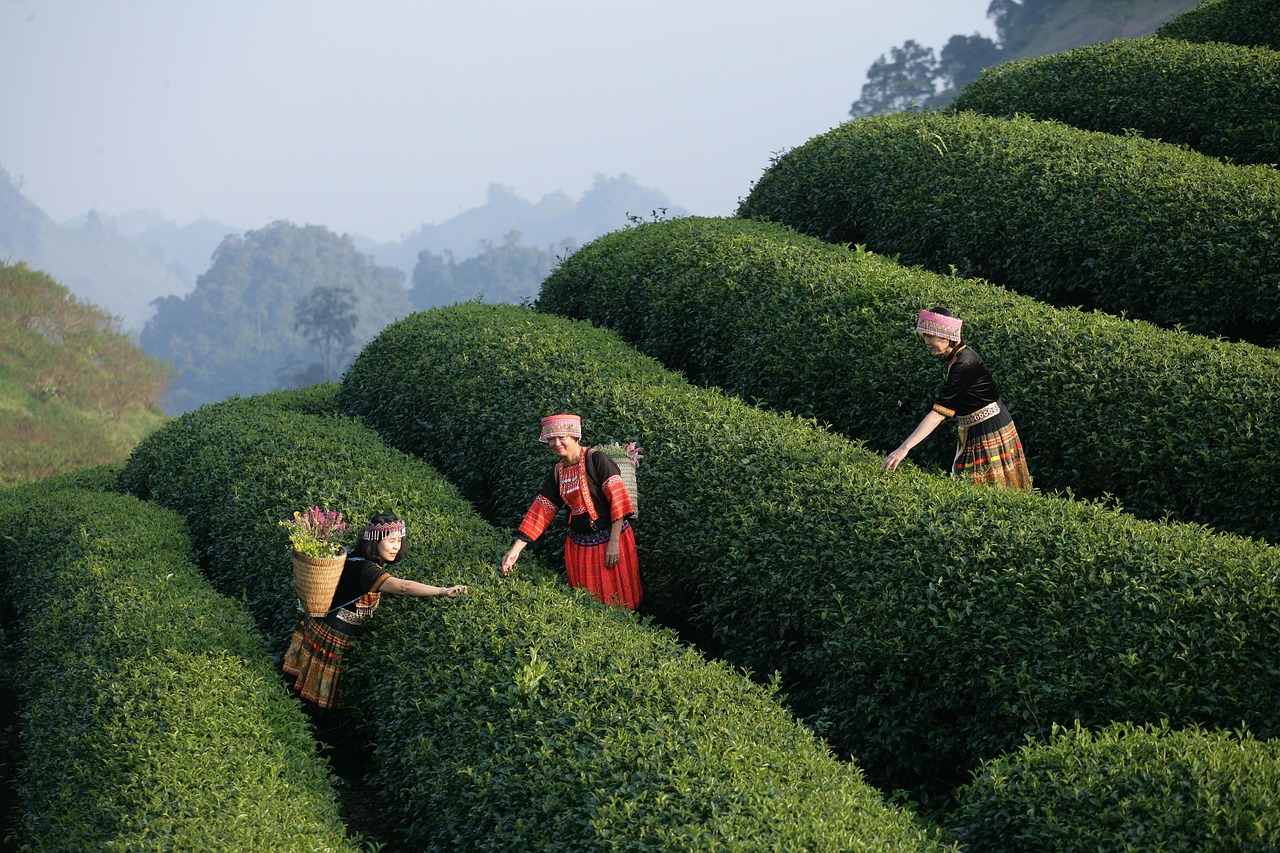 Bild für Patientenerfahrungen und Fallstudien