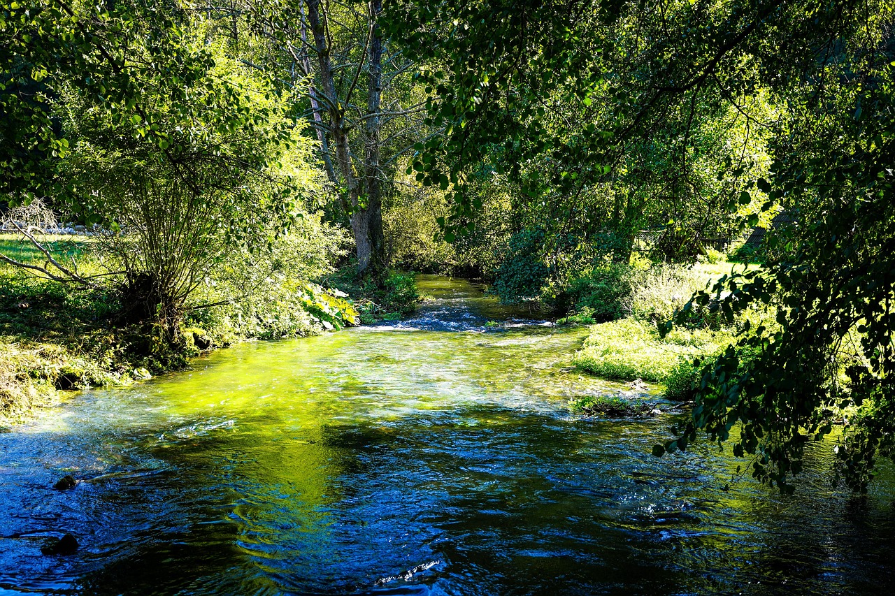 Abenteuer in der Oberpfalz: Entdecken Sie die schönsten Wälder und Freizeitspaß!
