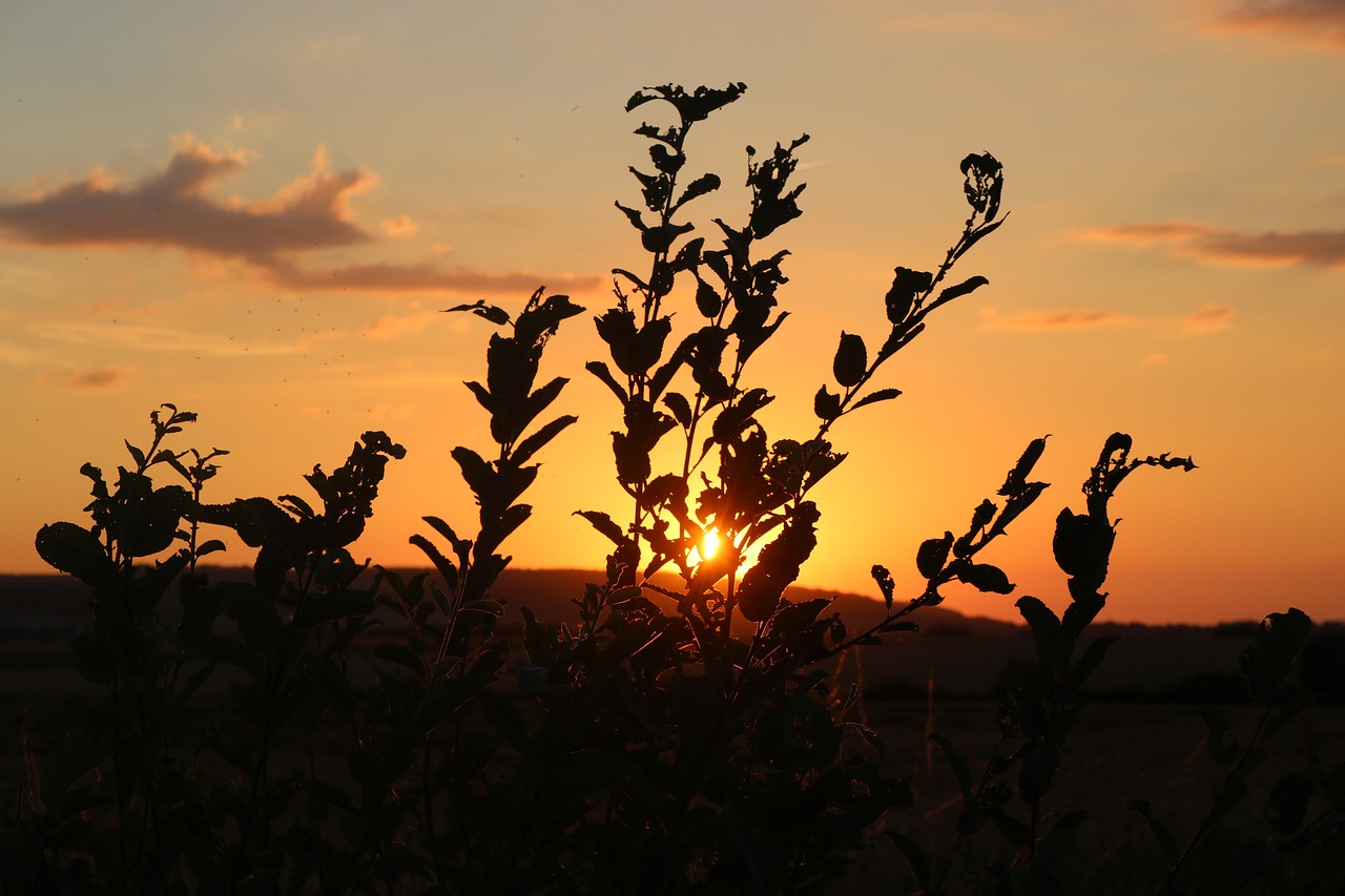 Bild für Mögliche Nebenwirkungen und Wechselwirkungen